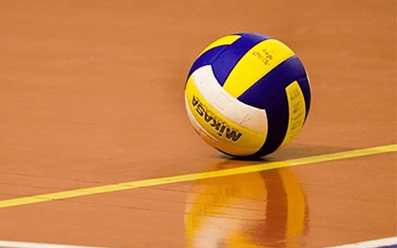 Escolhendo o tênis ideal para o vôlei: Uma análise posicional - Flash Shop Store